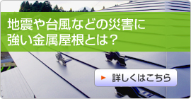�n�k��䕗�Ȃǂ̍ЊQ��
�������������Ƃ́H